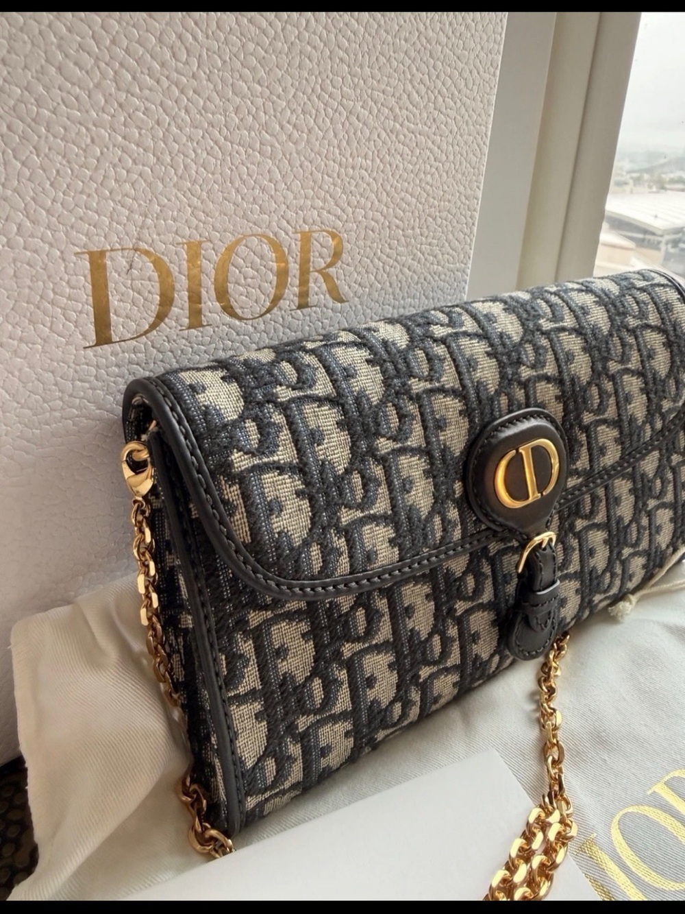 Dior Oblique Monogram Navy/Beige Crossbody with Gold Hardware - Picture 5 of 11